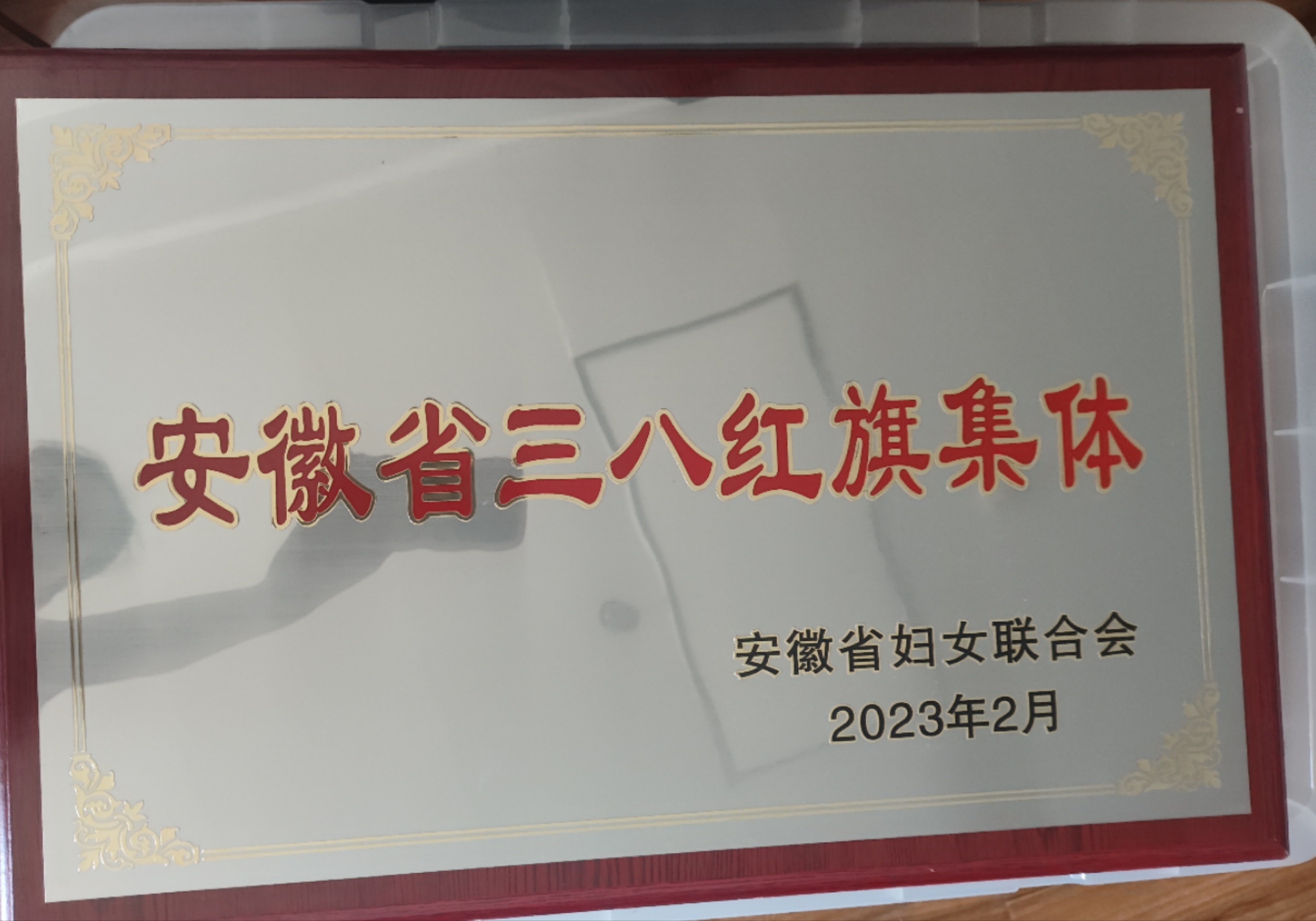 安徽省三八紅旗集體